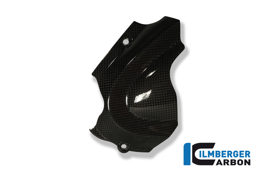 Ritzelabdeckung M 696 Carbon DUCATI Monster 796 (2010-2014)