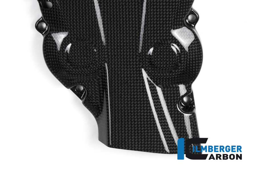 Zahnriemenabdeckung vertikal glänzende Oberfläche Carbon DUCATI Monster 1200 (2017 2021) – Bild 4