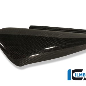 Seitendeckel links Carbon DUCATI Monster S2R (2005-2007)