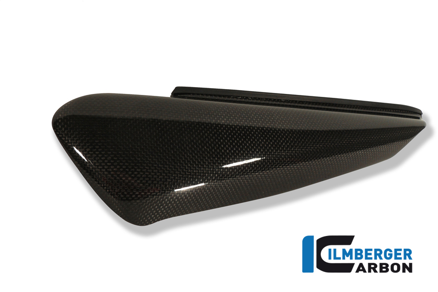 Seitendeckel links Carbon DUCATI Monster S2R (2005-2007)