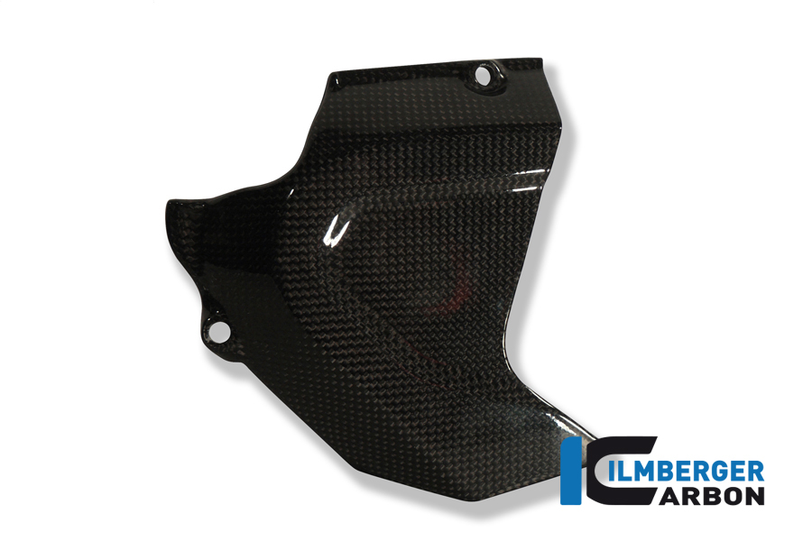 Ritzelabdeckung Carbon DUCATI Monster 1100 S (2008-2014) – Bild 2