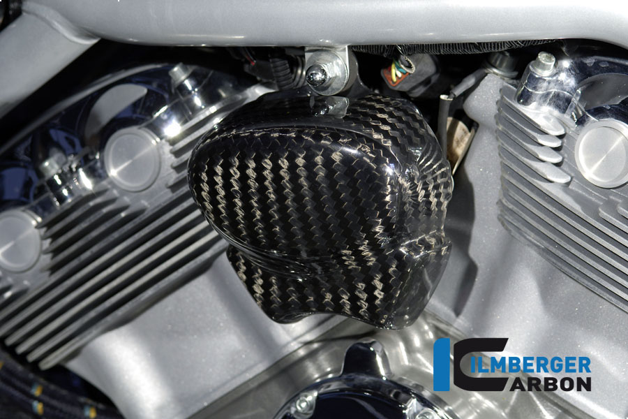 Hupenabdeckung Carbon für Harley-Davidson V Rod Einzelstücke Einzelstücke Harley Davidson – Bild 2