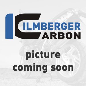 Lichtmaschinendeckelabdeckung glanz Ducati Panigale 1299 (ab 2015) DUCATI Panigale 959