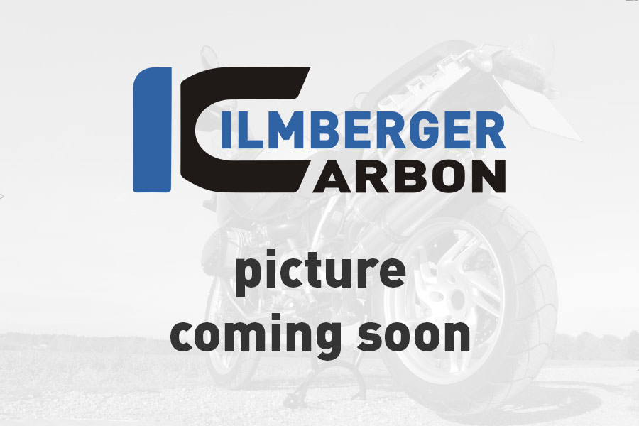 Lichtmaschinendeckelabdeckung glanz Ducati Panigale 1299 (ab 2015) DUCATI Panigale 959